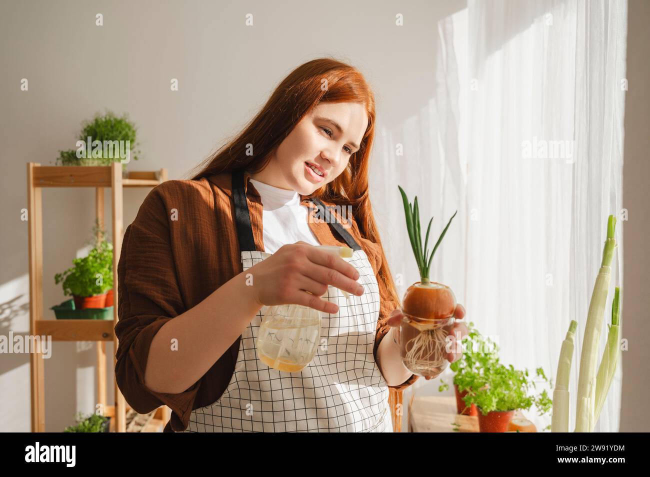 Rothaarige Botaniker sprüht Wasser auf Zwiebelpflanze zu Hause Stockfoto