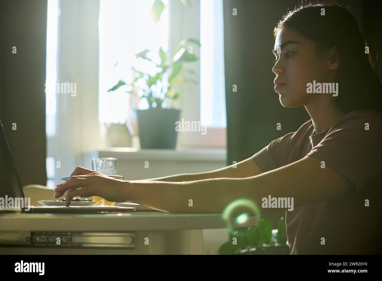 Junge Geschäftsfrau, die zu Hause E-Mails auf einem Laptop schreibt Stockfoto