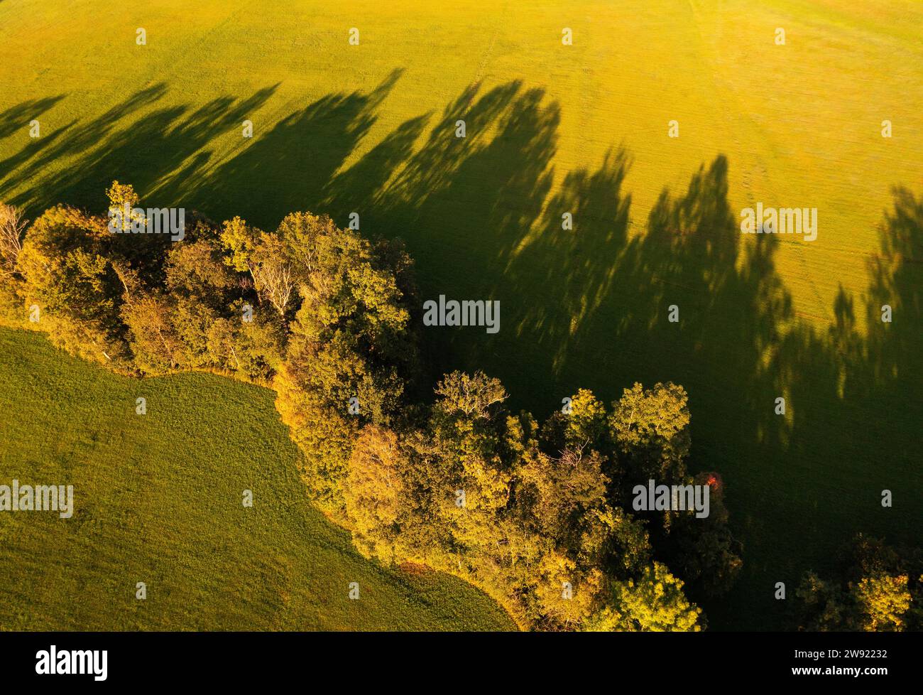 Österreich, Oberösterreich, Zell am Moos, Herbstbäume am Ufer der Fuschler Ache Stockfoto