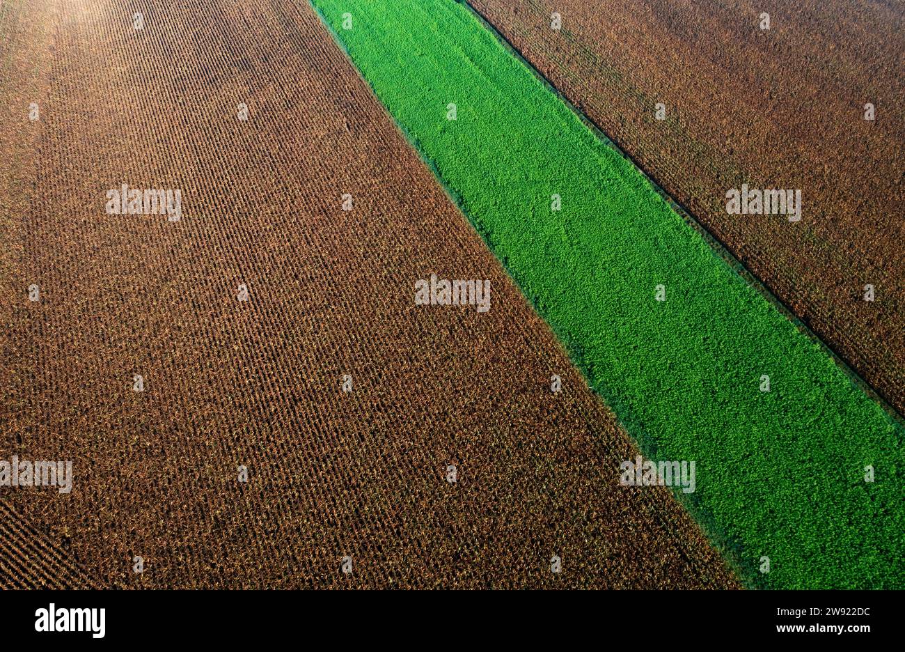 Österreich, Oberösterreich, Drone Blick auf grüne und braune Felder Stockfoto