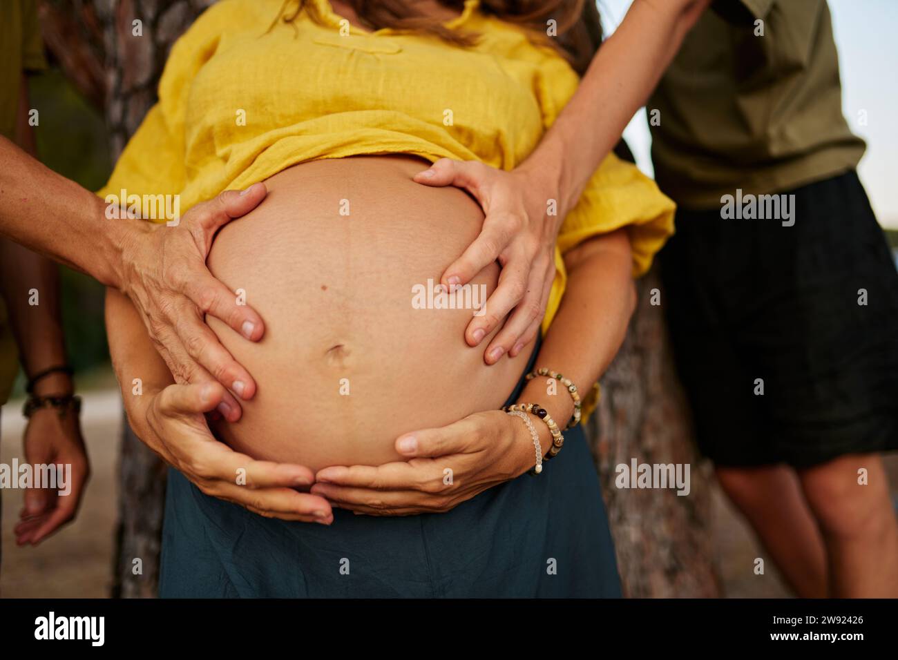 Die Hände von Vater und Sohn berühren den Magen der schwangeren Mutter Stockfoto