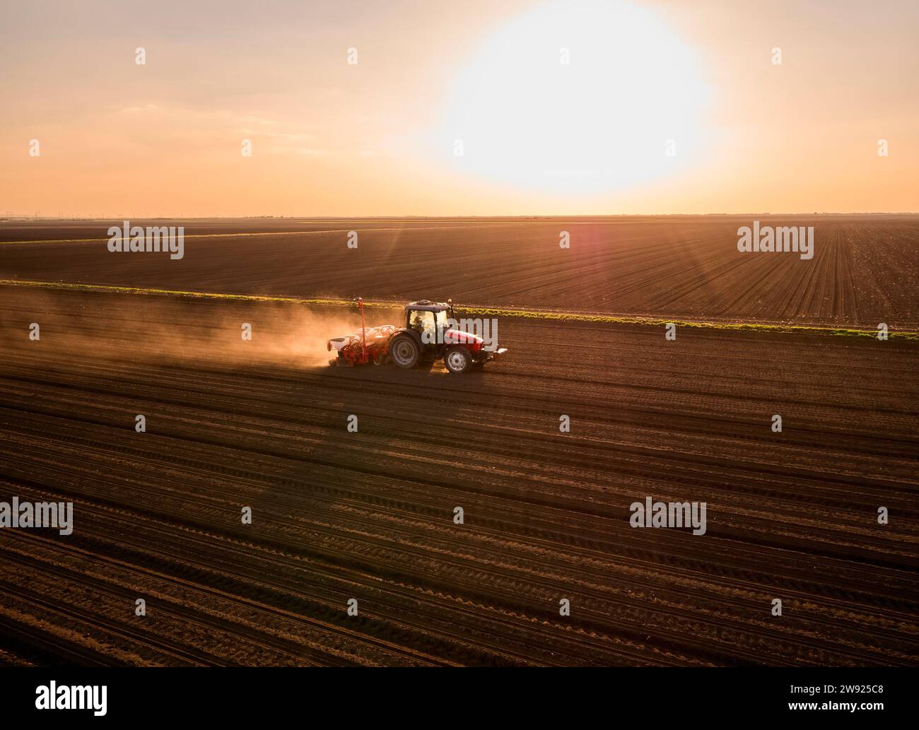 Serbien, Provinz Vojvodina, Luftaufnahme des Traktors bei Sonnenuntergang Stockfoto