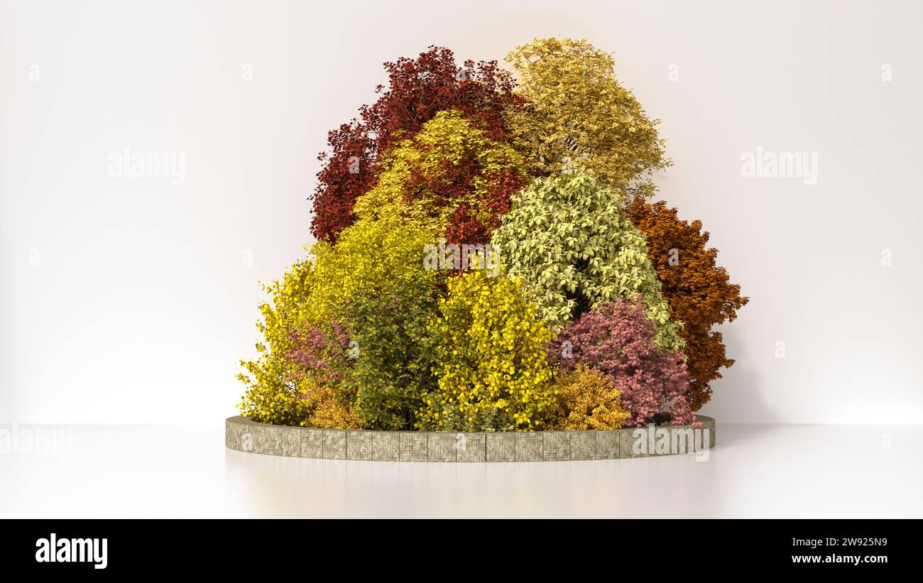 3D-Rendering eines kleinen Herbsthains vor weißem Hintergrund Stockfoto