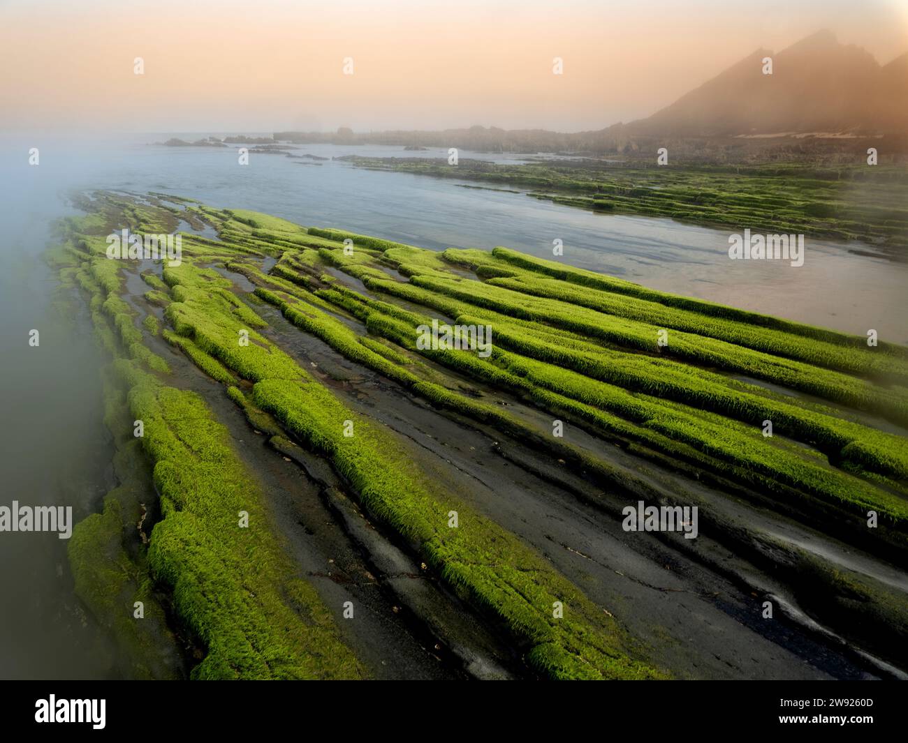 Portugal, Algarve, moosbedeckte Felsen auf Praia da Amoreira Stockfoto