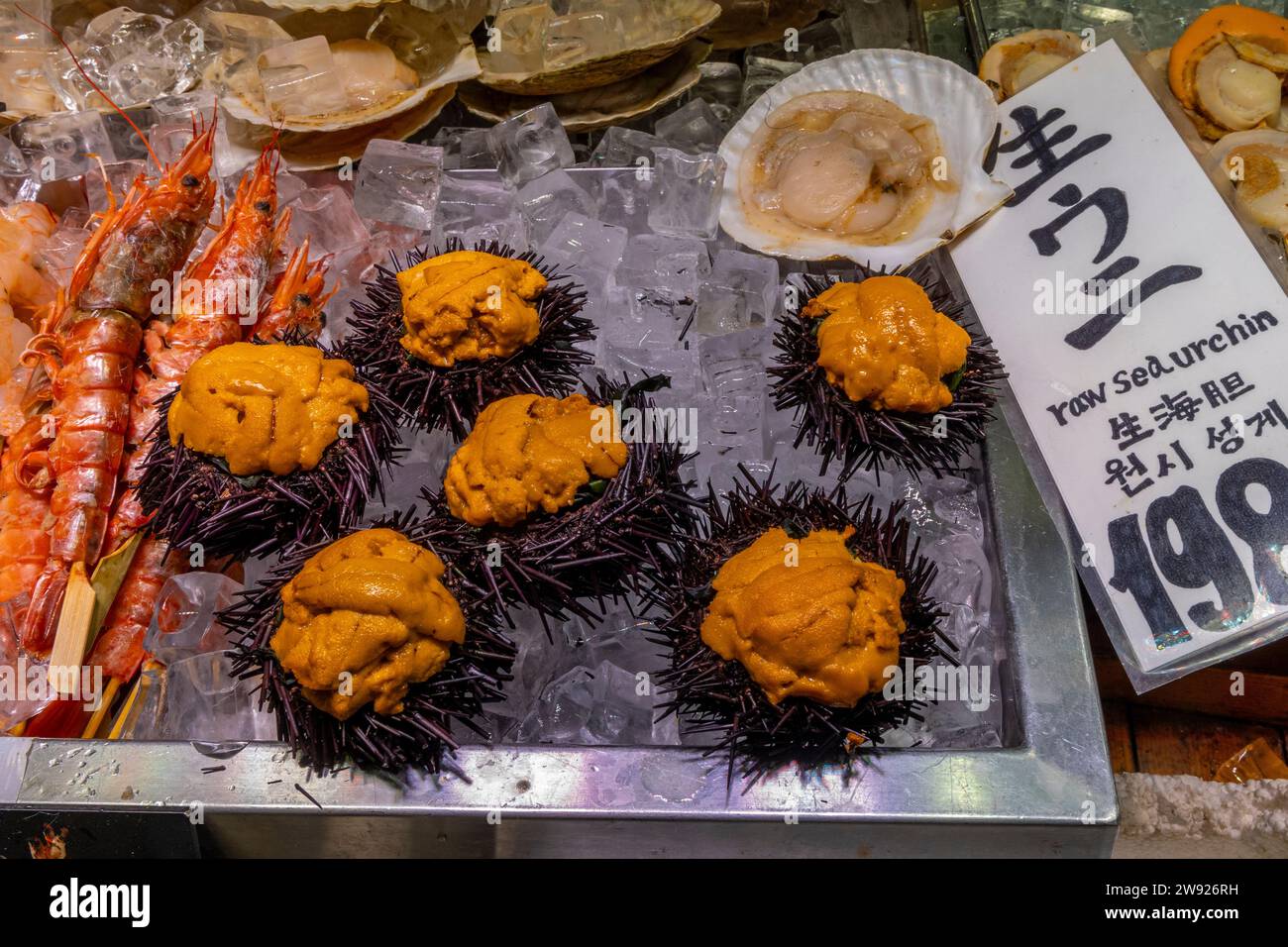 Sea Urchin, Nishiki Market, Kyoto, Japan Stockfoto