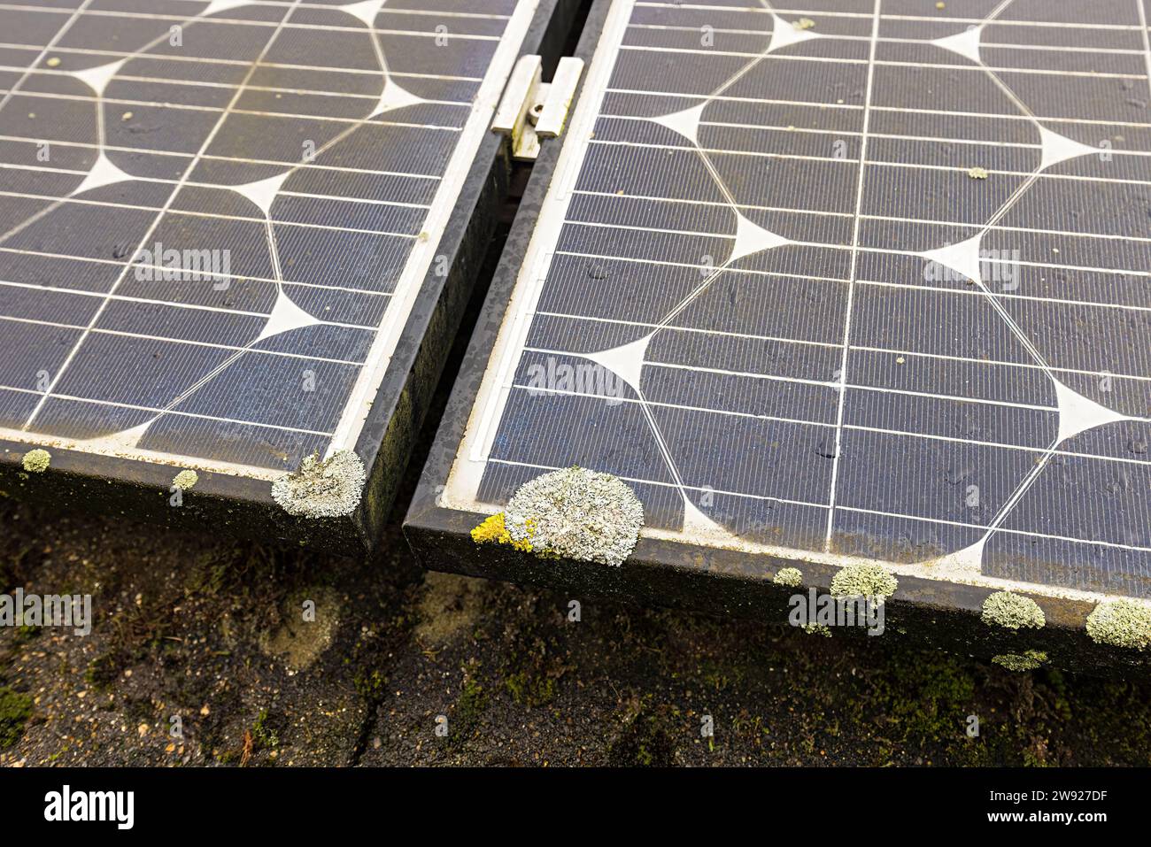 Edge of Solar Panels mit Flechtenwachstum reduziert die Stromerzeugung, Wales, Großbritannien Stockfoto