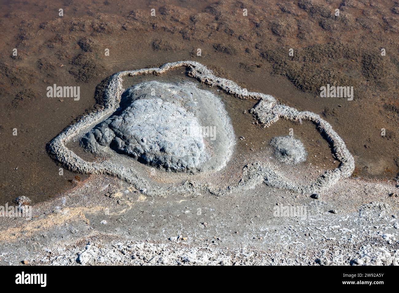 Halitkristalle (NaCl) bildeten sich am Rand eines Salzdampfteichs. Kalifornien, USA. Stockfoto