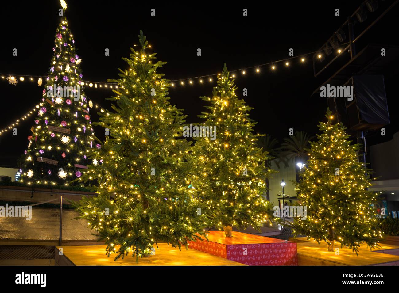 Das Gebiet in der Nähe des Hauses ist weihnachtlich dekoriert. Lebendiger Weihnachtsbaum: Fichte, Kiefer, Fichte in Töpfen Stockfoto