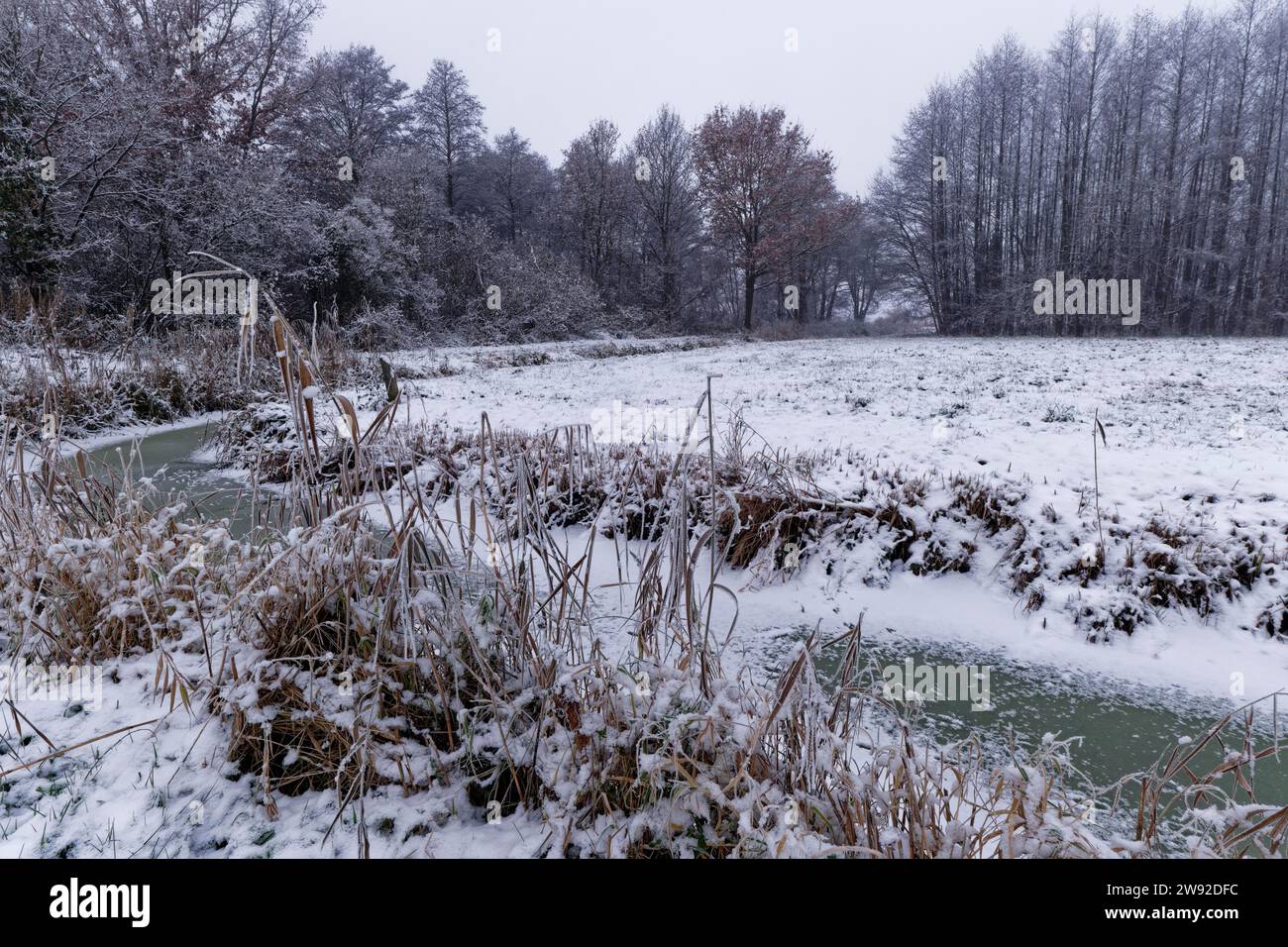 Schneebedeckte Winterlandschaft und gefrorener Graben in Hamburg vier- und Marschlanden Hamburg, Norddeutschland Stockfoto