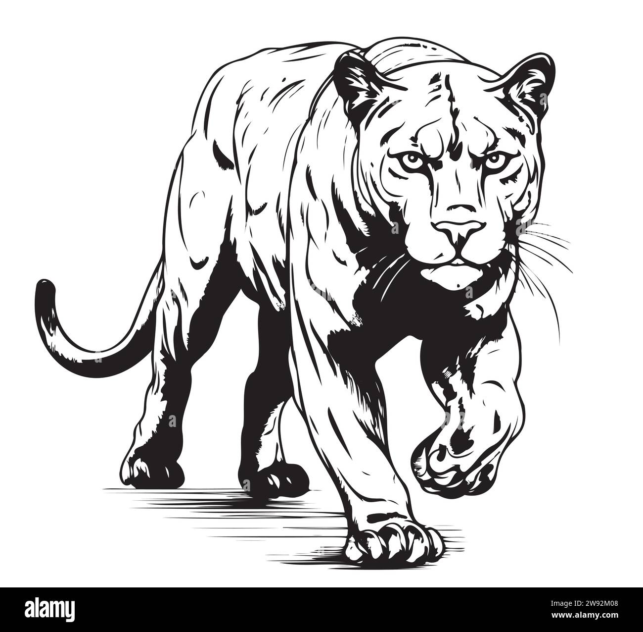 Schwarzer Panther Hand gezeichnete Skizze Vektor-Illustration, Tiere Kunst Stock Vektor