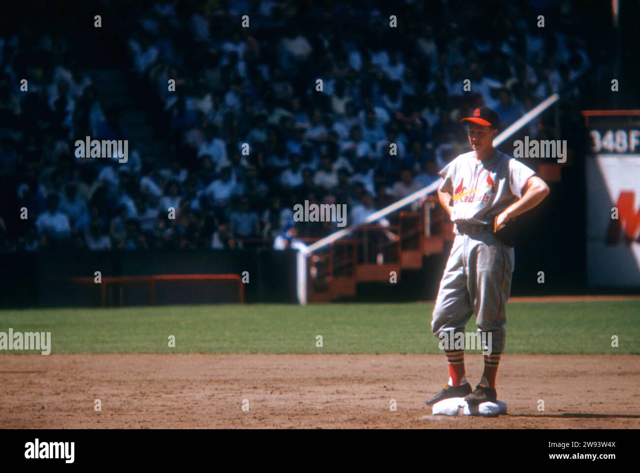 BROOKLYN, NY - 27. JUNI: Zweiter Baseman Red Schoendienst #2 der St. Louis Cardinals steht bei einem MLB-Spiel gegen die Brooklyn Dodgers am 27. Juni 1954 auf dem Ebbets Field in Brooklyn, New York. (Foto von Hy Peskin) *** örtlicher Bildtitel *** Red Schoendienst Stockfoto