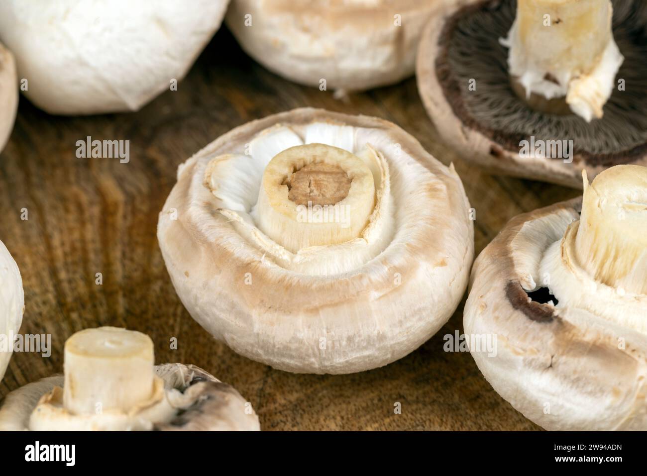 Geschälte Pilze beim Kochen, geschälte und gewaschene Pilze beim Kochen auf dem Tisch Stockfoto