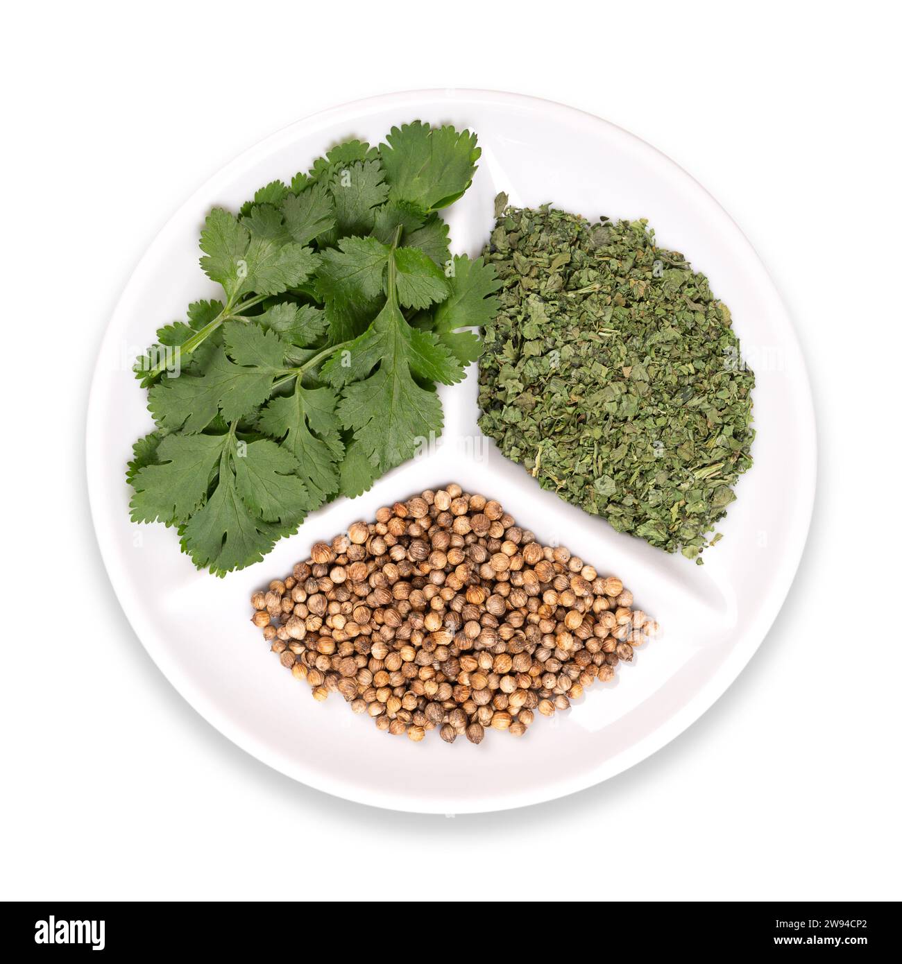Getrocknete und frische Korianderblätter mit Koriandersamen in einer weißen Schüssel. Jährliches Kraut, das zum Kochen verwendet wird. Am häufigsten werden frische Blätter und getrocknete Samen verwendet. Stockfoto