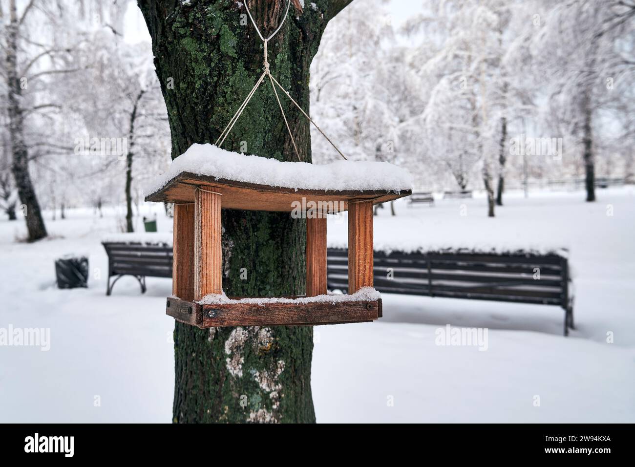 Holzvogelfutter hängt an einem Baum im Winterpark Stockfoto