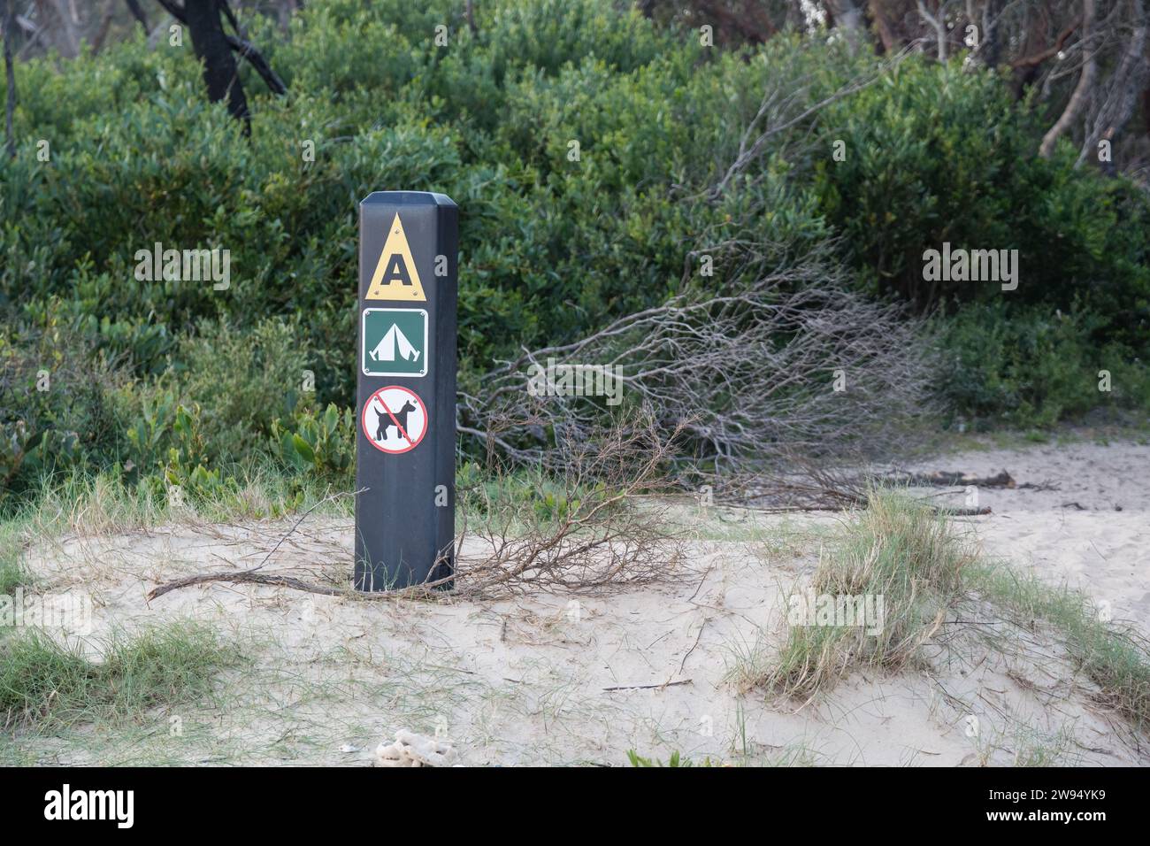 Campingplatzsignal am Strand, keine Hunde erlaubt, Banksia Bluff Campground, Cape Conran, Australien Stockfoto