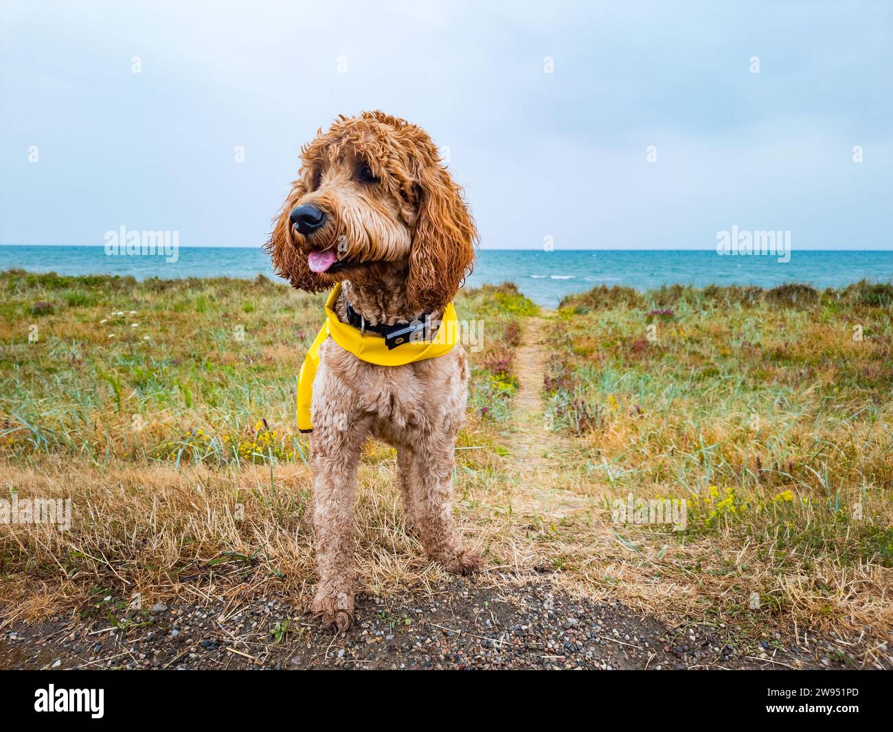 goldene Kritzelei mit Regenmantel am Strand Stockfoto