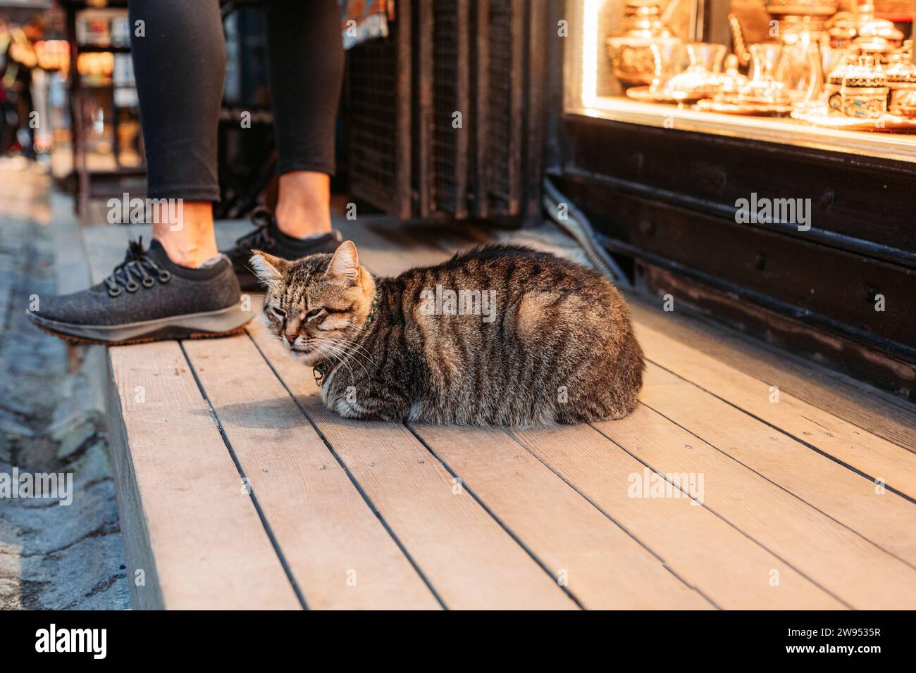 Streunende, stumpfsinnige Katze, die vor einem Laden sitzt, istanbul Stockfoto