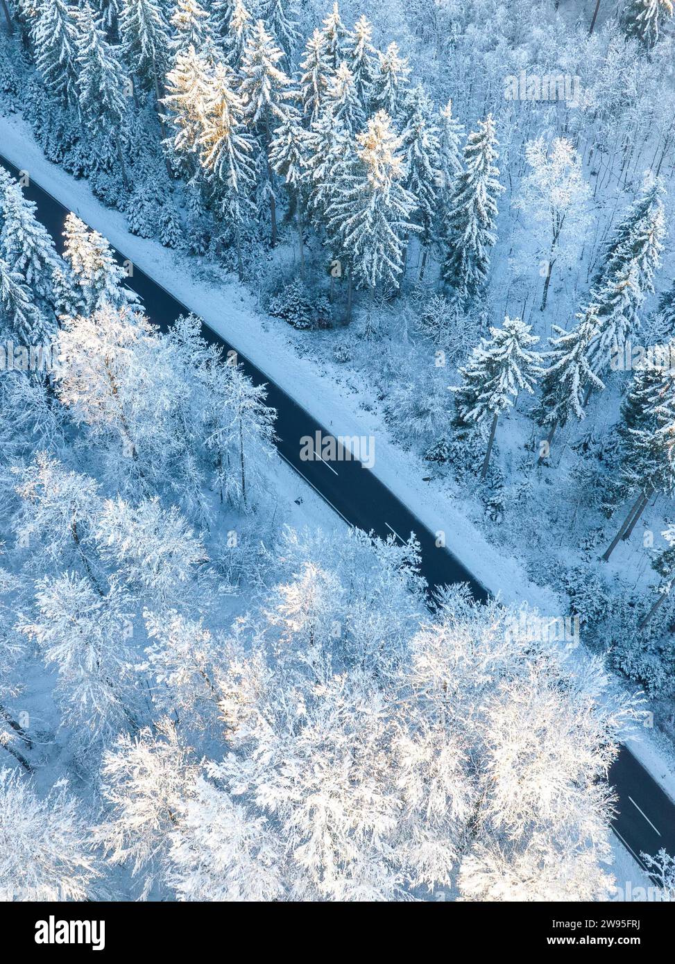 Eine Luftaufnahme zeigt eine Straße, die sich durch einen schneebedeckten Wald, Gechingen, Luftaufnahme, Schwarzwald, Deutschland Stockfoto