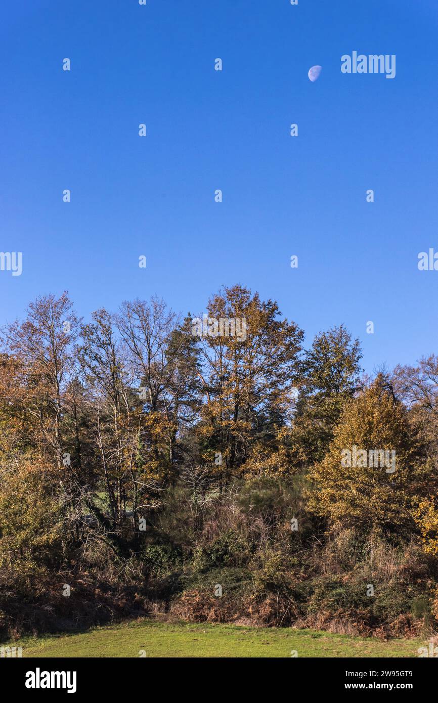 GUE automnale de la Campagne corrézienne Stockfoto