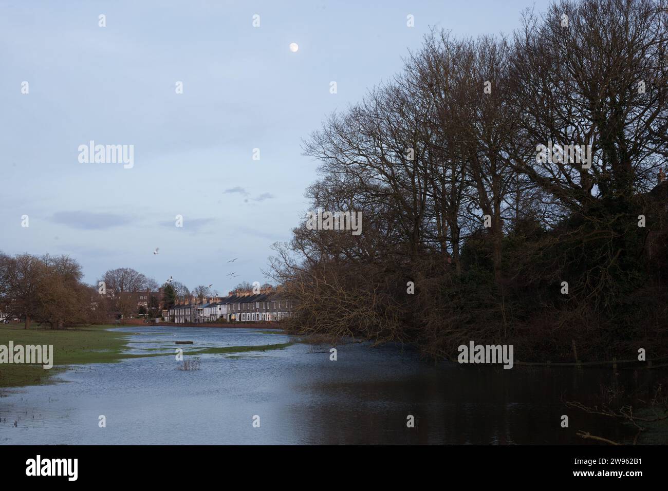 Überschwemmung nach Regen Beverley Westwood East Yorkshire UK Stockfoto