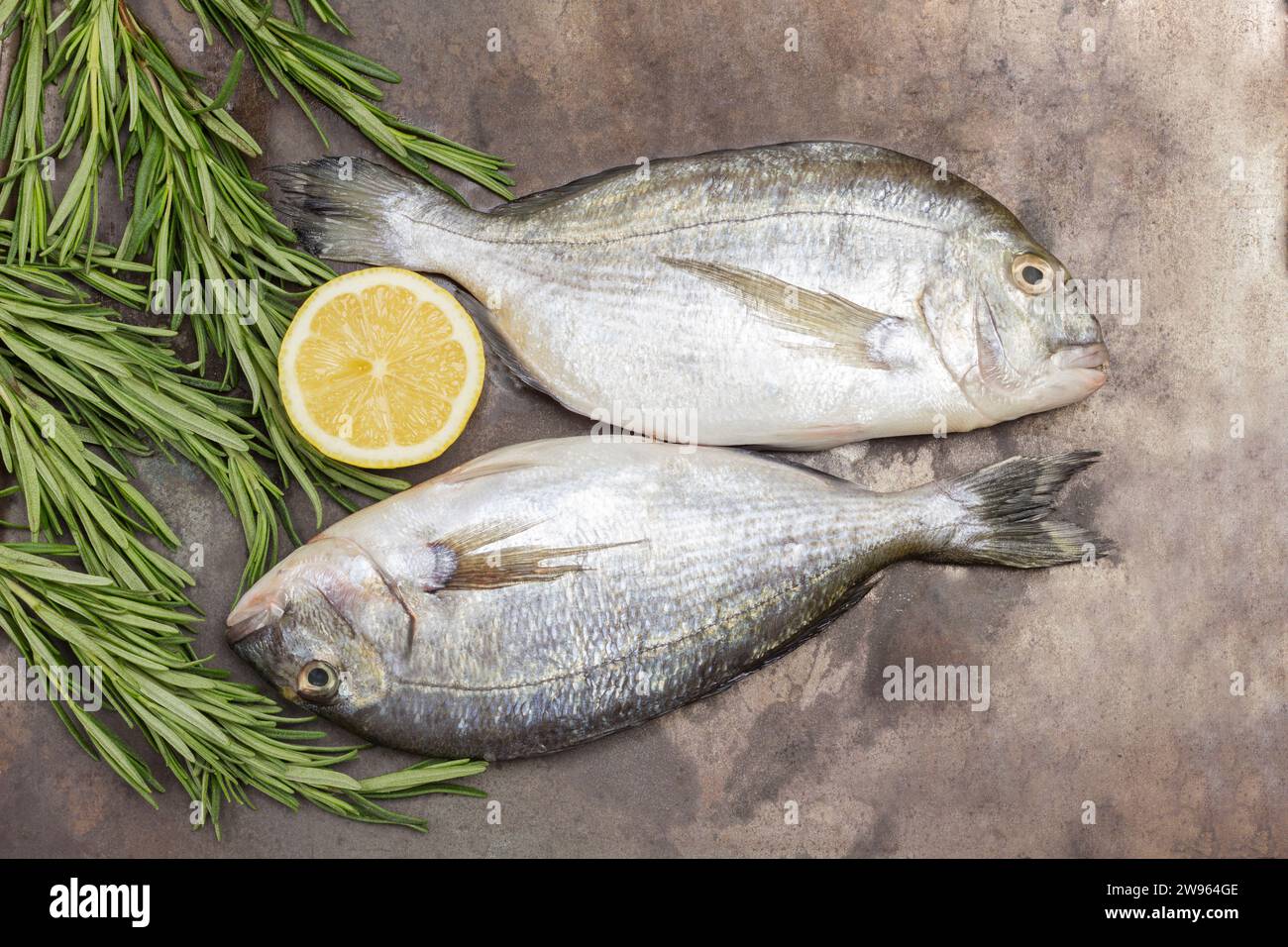 Roher Fisch mit Zitronen- und Rosmarinzweigen. Metallhintergrund. Flache Lagen Stockfoto
