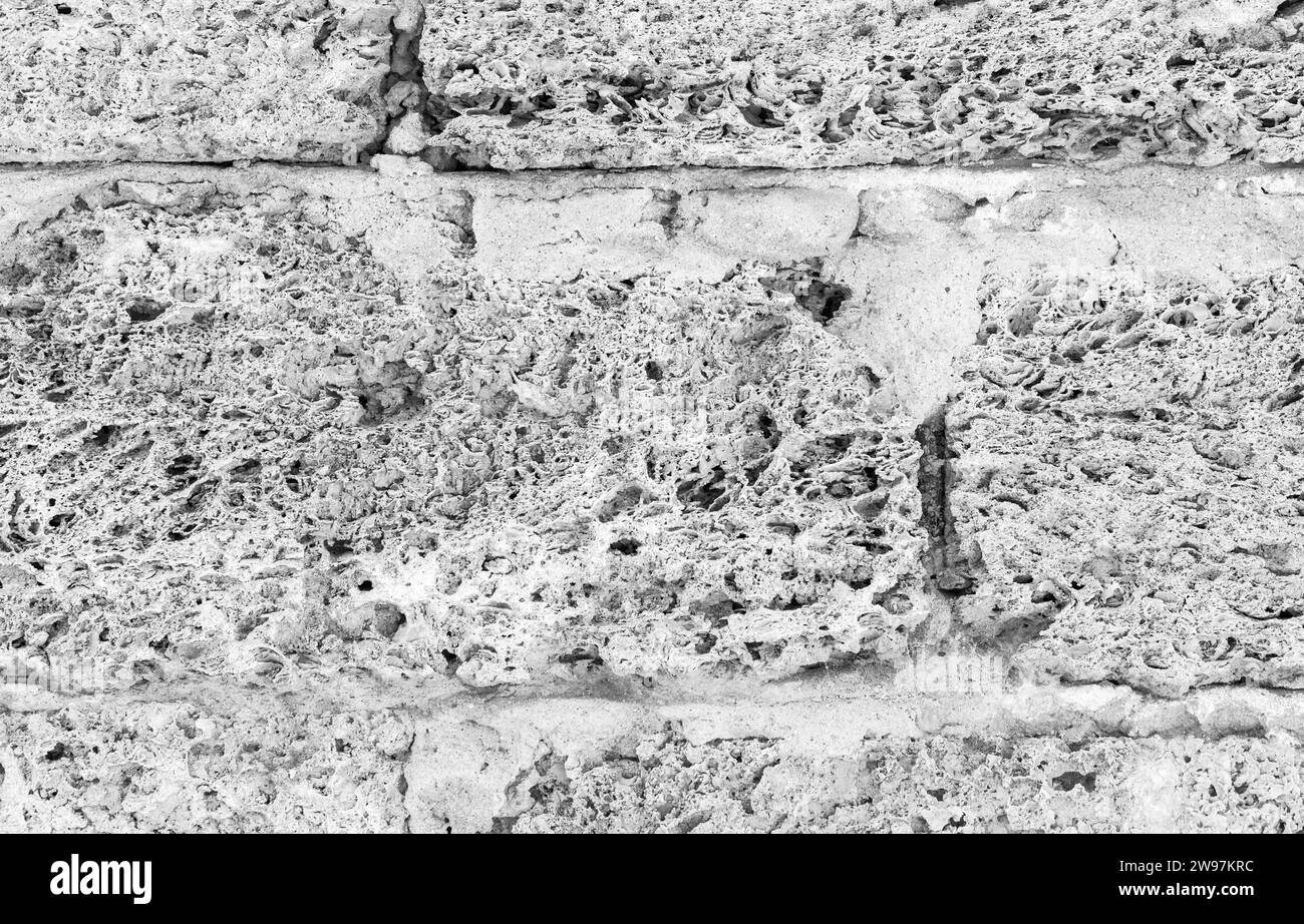 Grungy weiße Wand aus Muschelsteinziegeln, Nahaufnahme Hintergrund Foto Textur Stockfoto