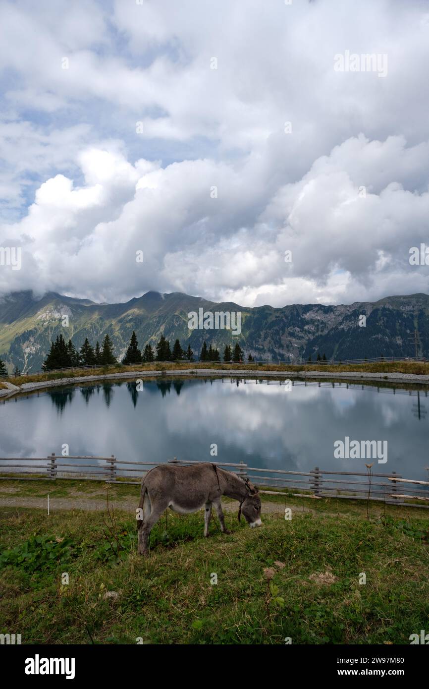 Trentino Südtirol, die Perle Italiens Stockfoto