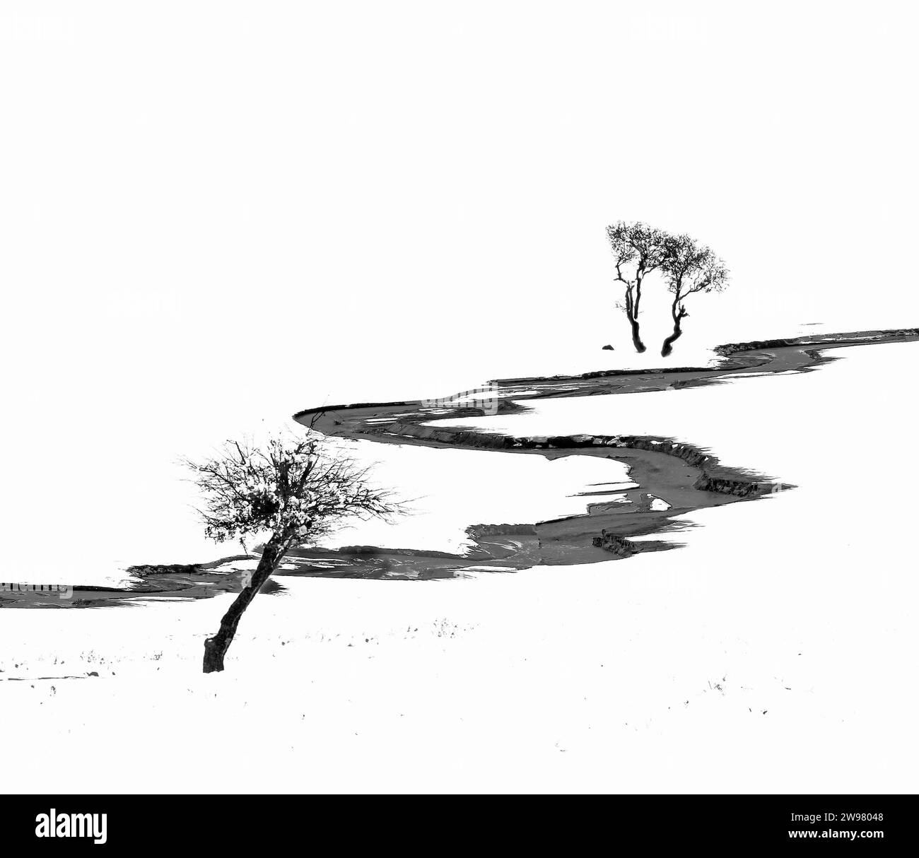 Ein künstlerisches Schwarz-weiß-Foto, das zwei Bäume zeigt, die auf einem schneebedeckten Hügel stehen Stockfoto