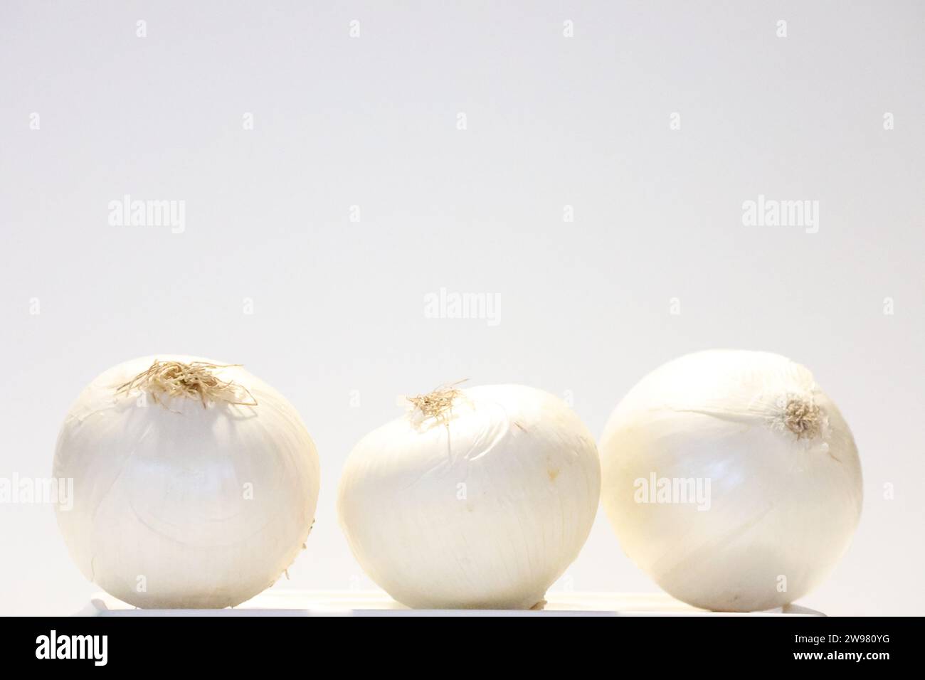 Die Zwiebeln haben braune kleine Fäden an der Oberseite, die sehr deutlich auffallen. Sie sind auch nicht genau gleich aufgebaut. Stockfoto