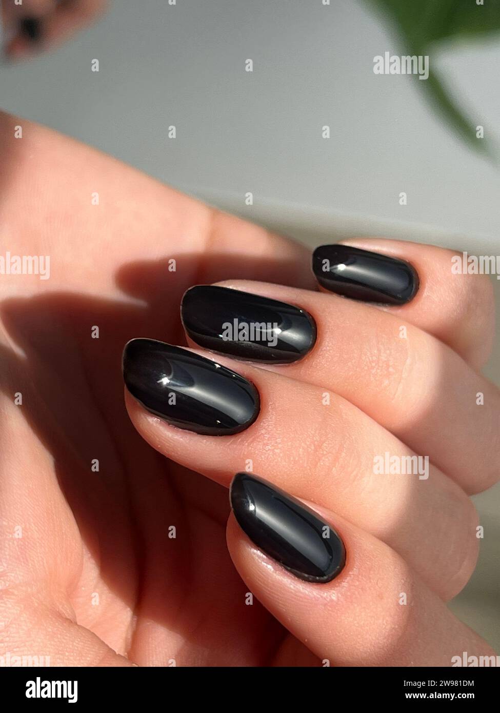 Eine Nahaufnahme eines Weibchens mit sorgfältig gepflegten schwarzen Fingernägeln Stockfoto