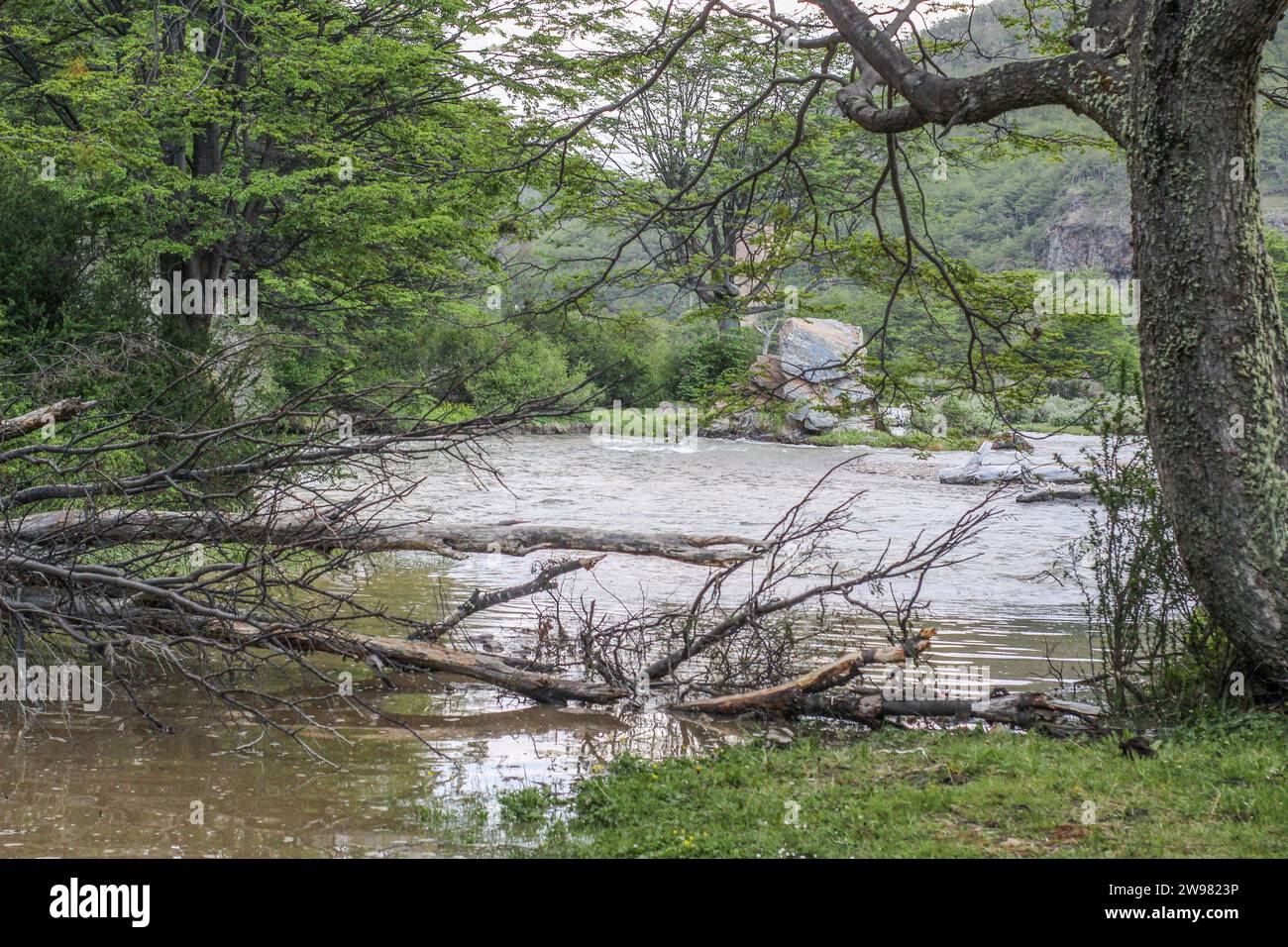 Ein ruhiger Fluss, der sich zwischen Bäumen und Felsvorsprüngen schlängelt und eine friedliche Szene schafft Stockfoto