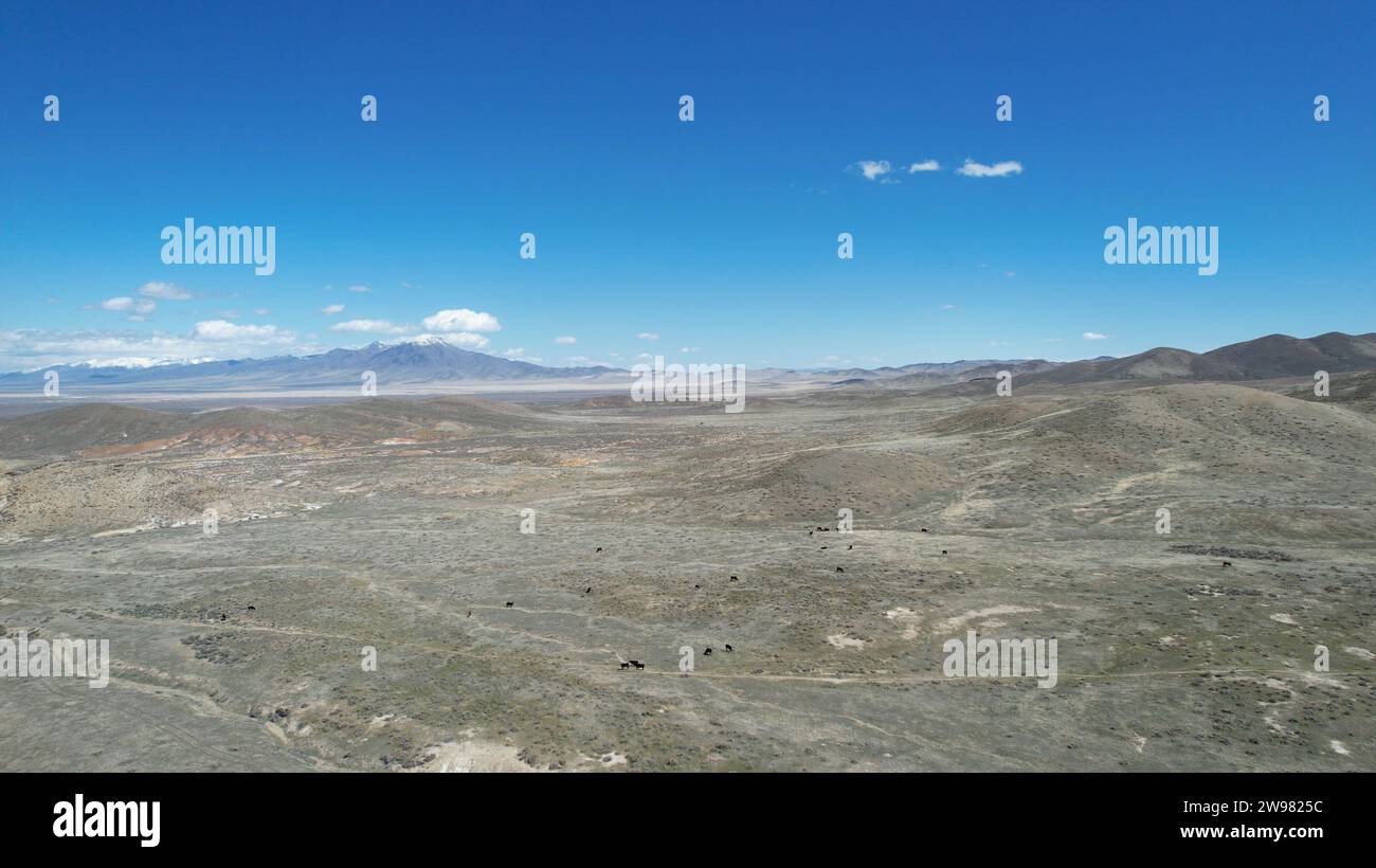 Ein Blick aus der Vogelperspektive auf die Wüste Nevadas im Nordwesten von Winnemucca vor einem leuchtend blauen Himmel Stockfoto