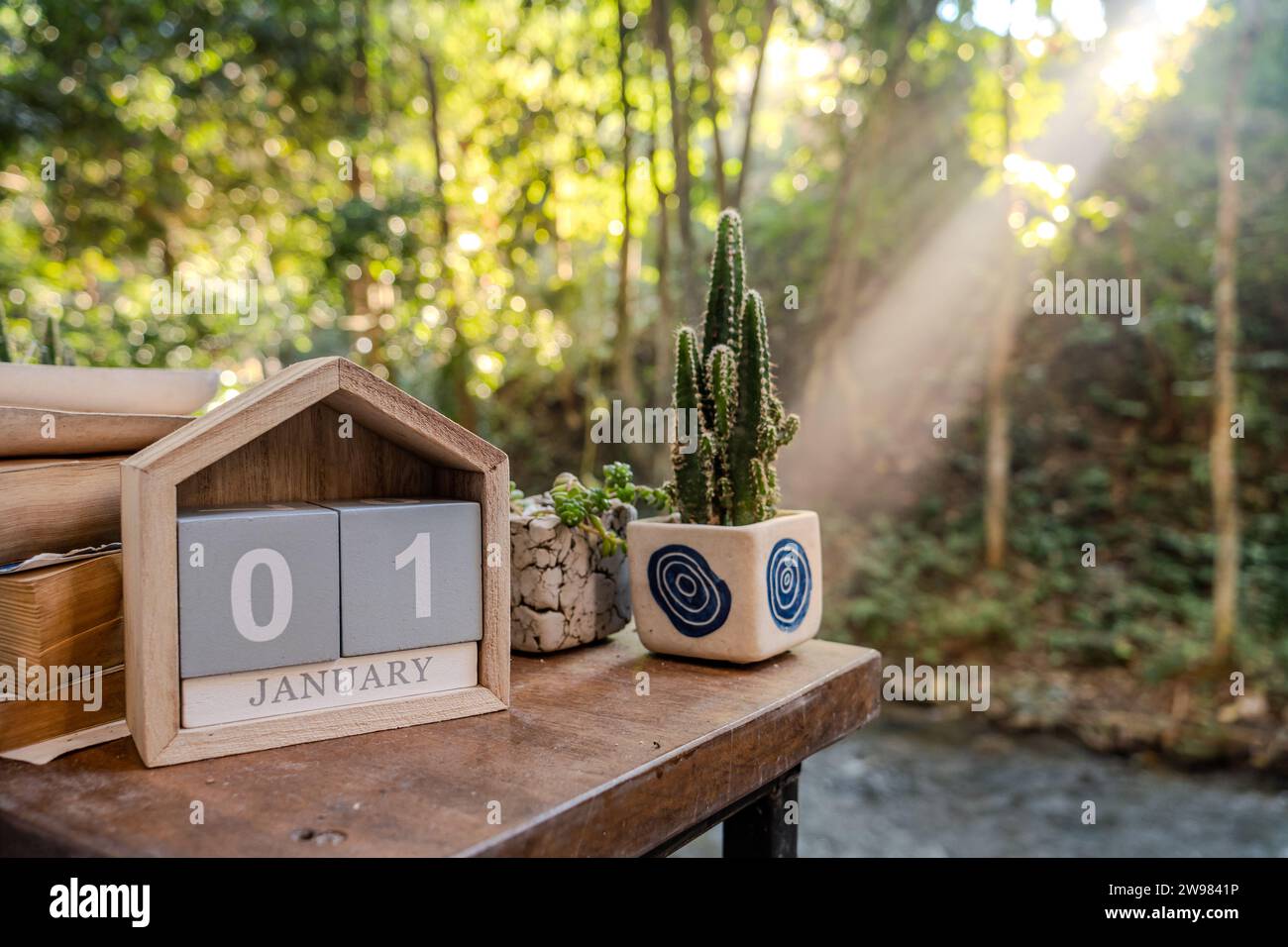 Januar, Datumstext auf Kalenderwürfelblock auf Holztisch mit Buch und Kakteen in einem Pflanztopf, erster Sonnenaufgang des Jahres im Hintergrund mit Wald Stockfoto