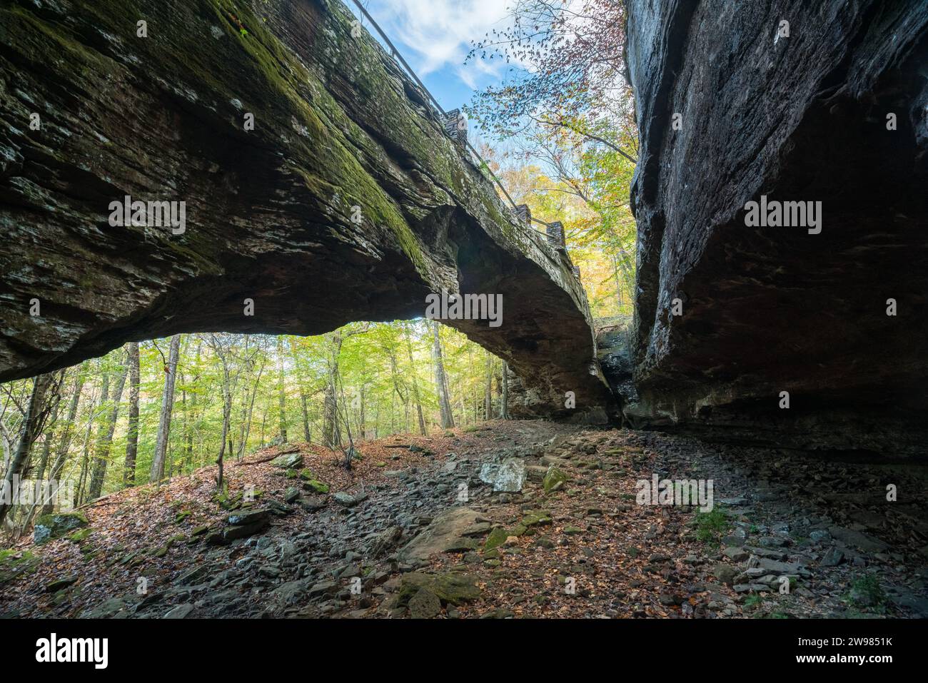 Alum Cove Natural Bridge in Arkansas Stockfoto