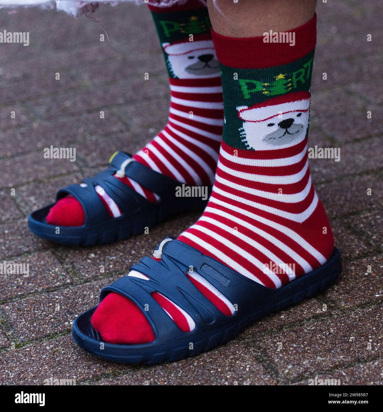 Berlin, Deutschland. Dezember 2023. Ein Mann trägt Socken mit weihnachtlichem Muster während des weihnachtlichen Eisbades der Berliner Seehunde im Außenpool des Orankesee. Quelle: Paul Zinken/dpa/Alamy Live News Stockfoto