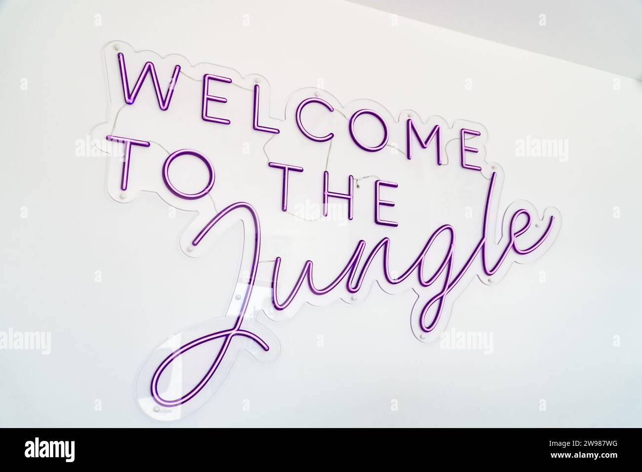 Ein lila Neon Willkommen auf dem Dschungel-Wandschild an einer weißen Wand Stockfoto