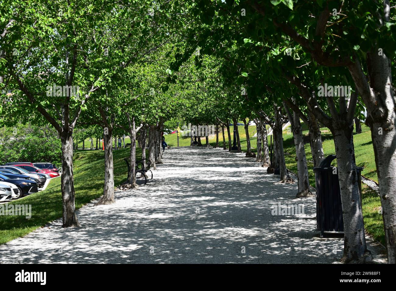 Schotterweg im Schatten von zwei Reihen von Bäumen, schlängelt sich um das Utah State Capitol Stockfoto