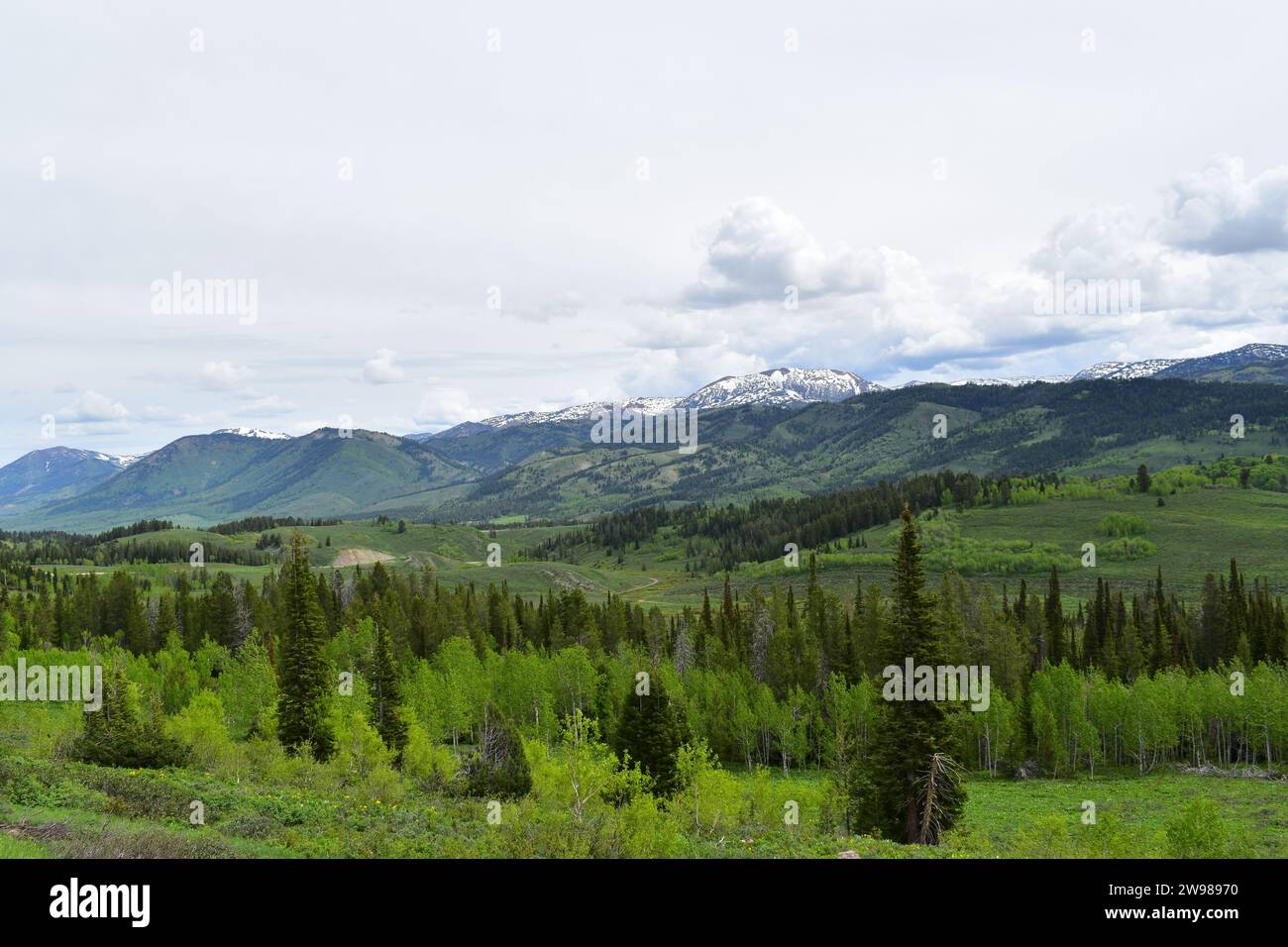 Blick auf die majestätische Landschaft Wyoming und die Rocky Mountains am Salt River Pass Scenic Overlook Stockfoto