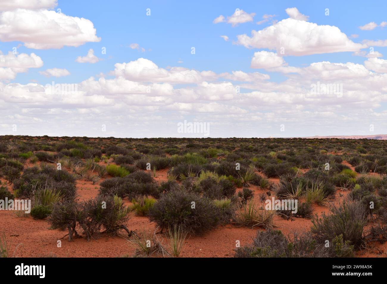 Blick auf die unendlich flache Landschaft der Wüste Nord-Arizonas, bedeckt mit rotem Sand und Salbei-Pinsel-Vegetation Stockfoto