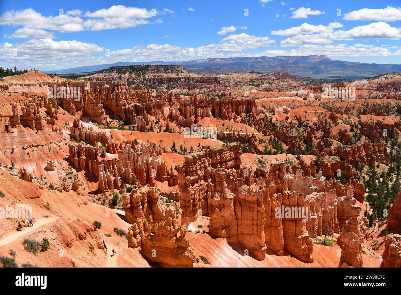 Blick auf die wunderschöne Landschaft aus rotem Sandstein und zerklüftete Gipfel auf dem Navajo Loop Trail im Bryce National Park Stockfoto