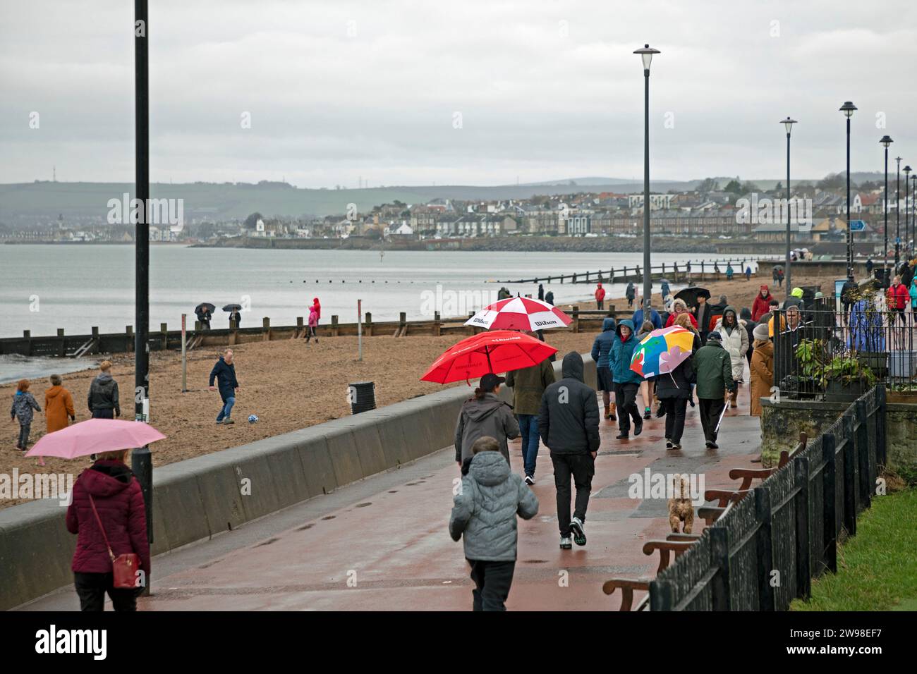 Portobello, Edinburgh, Schottland, Großbritannien. 25. Dezember 2023. Wetter, Duschen am Weihnachtsfeiertag, Sonnenschirme wurden auf der Promenade benutzt, um auf dem Porty-Abschlussball am Firth of Forth spazieren zu gehen. Temperatureinstellung 8 Grad Celsius. Quelle: Archwhite/Alamy Live News. Stockfoto