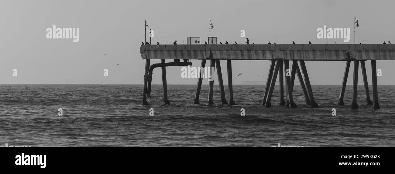 Ein hölzerner Pier, der sich ins Meer erstreckt, mit einer Vogelschar, die an den Kanten thront. Stockfoto