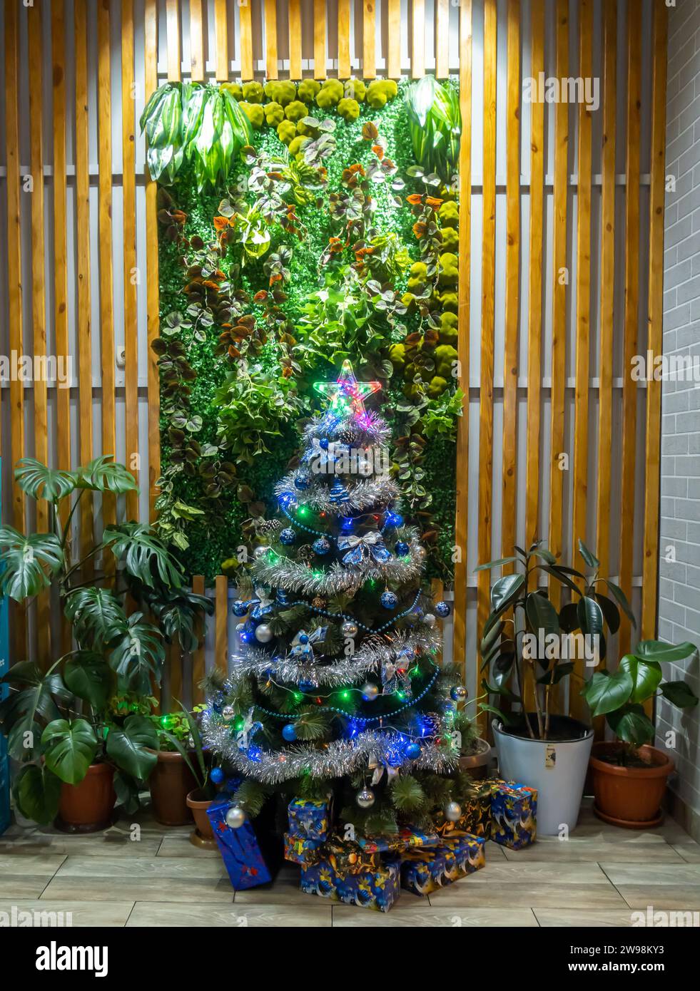Einfacher Weihnachtsbaum unter lebenden Pflanzen in einem Café in Samarkand Usbekistan Stockfoto