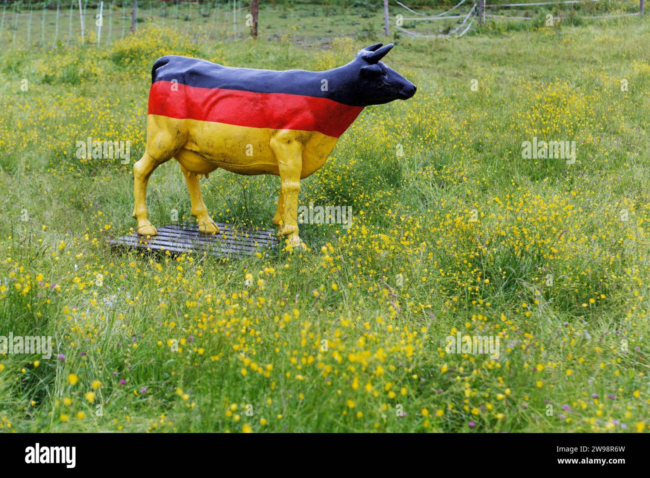 Eine lebensgroße Kuh aus Kunststoff auf einer blühenden Wiese, bemalt in den deutschen Nationalfarben schwarz, rot, Gold, symbolisches Foto für die Landwirtschaft Stockfoto