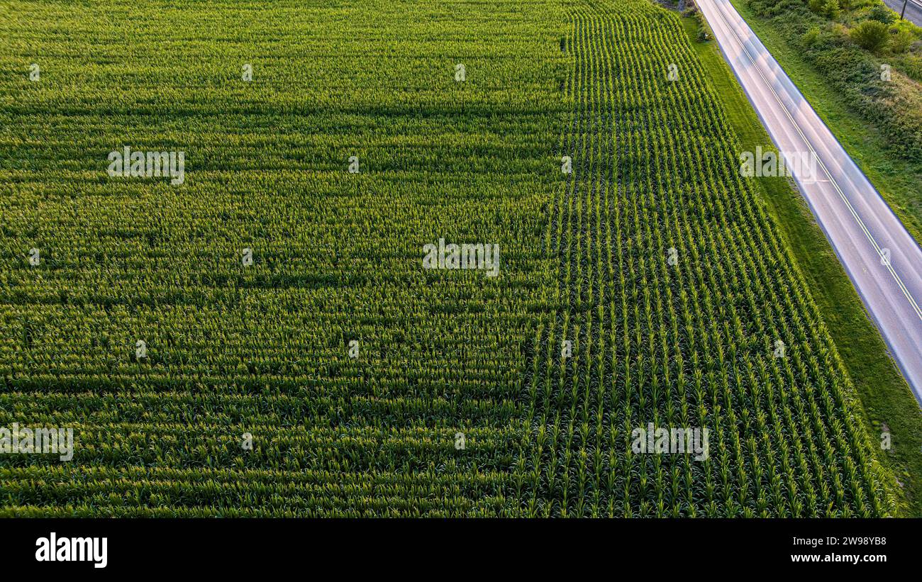 Ein Blick aus der Luft auf eine Autobahn, die an einem großen landwirtschaftlichen Betrieb verläuft Stockfoto