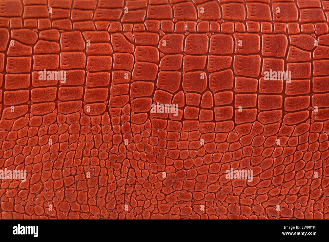 Der Hintergrund besteht aus roter Krokodilhaut. Ledertasche Nahaufnahme. Stockfoto