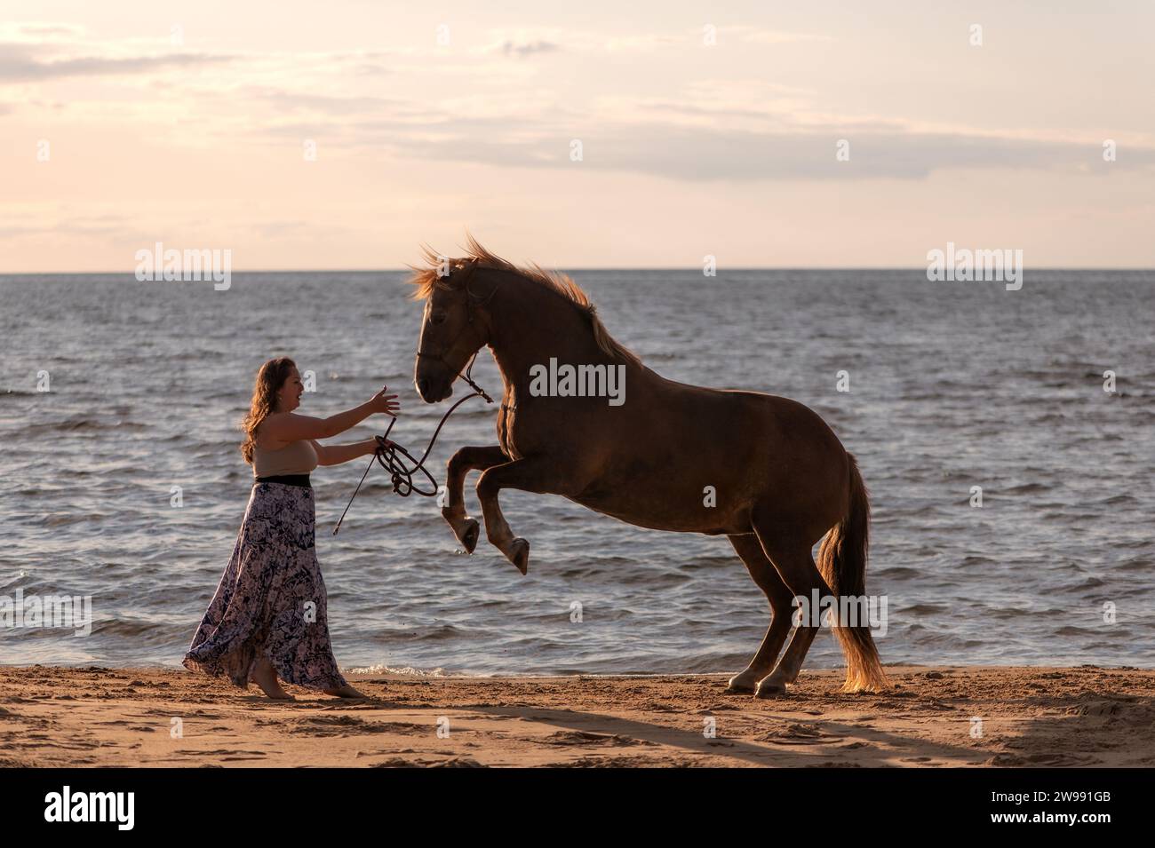 Eine junge Frau führt ihr Pferd abends am Strand, während die Sonne untergeht Stockfoto