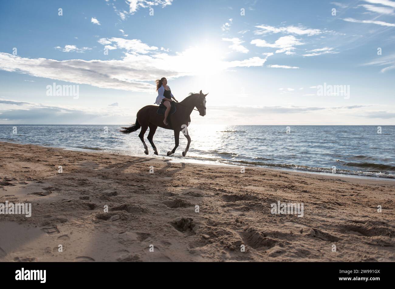 Eine schöne junge Frau, die ihr Pferd an einem sonnigen Strand durchs Wasser reitet Stockfoto