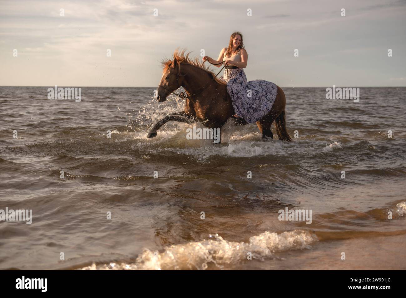 Eine Reiterin wird auf dem Bild abgebildet, die einen gemütlichen Ausritt im Meer genießt Stockfoto