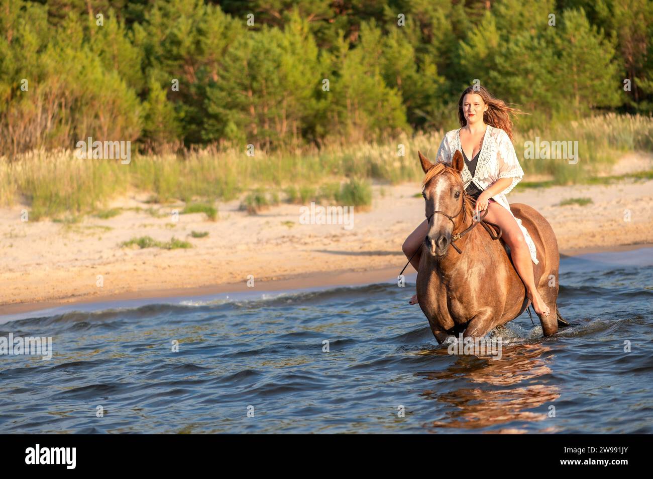 Eine Reiterin wird auf dem Bild abgebildet, die einen gemütlichen Ausritt im Meer genießt Stockfoto